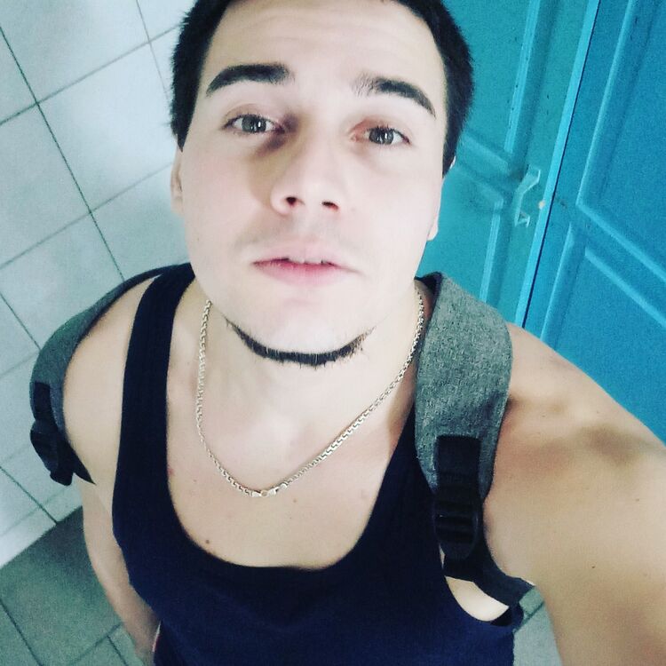  15245825  , 31 ,    