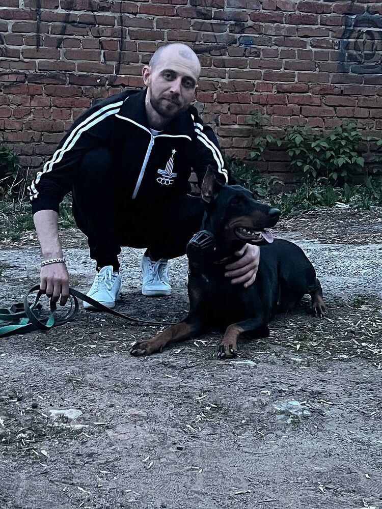 ���������� ���������� �����, ���� ������� �������, 37 ���, ������������ ��� ������, ����� � ���������, c�������� ���������, ���������