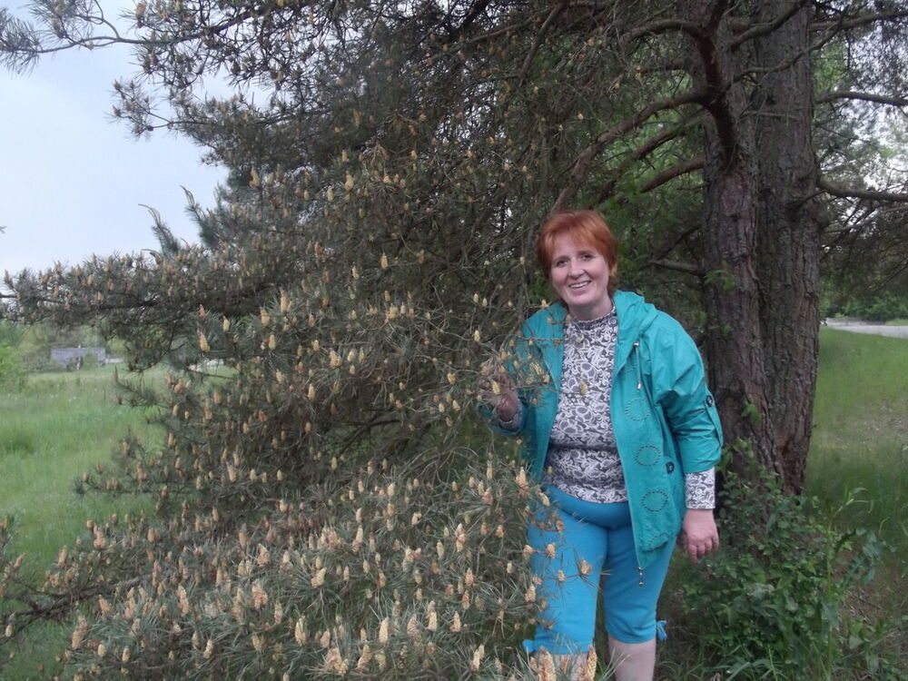 ���������� ����������, ���� ������� ����, 62 ����, ������������ ��� ������, ����� � ���������, c�������� ���������