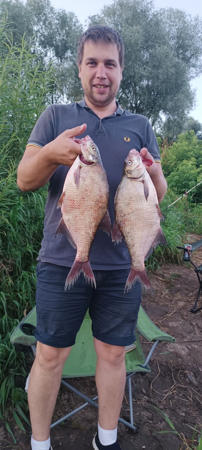 ���� 53506925 ������� ��������, 36 ���, ���� ���������� � ������