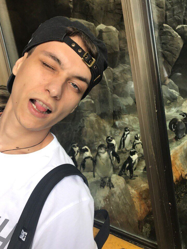 ���� 25178095 ������� Harpk, 29 ���, ���� ���������� � ����������