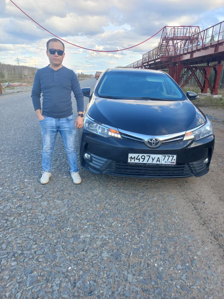 31137035  , 34 ,    