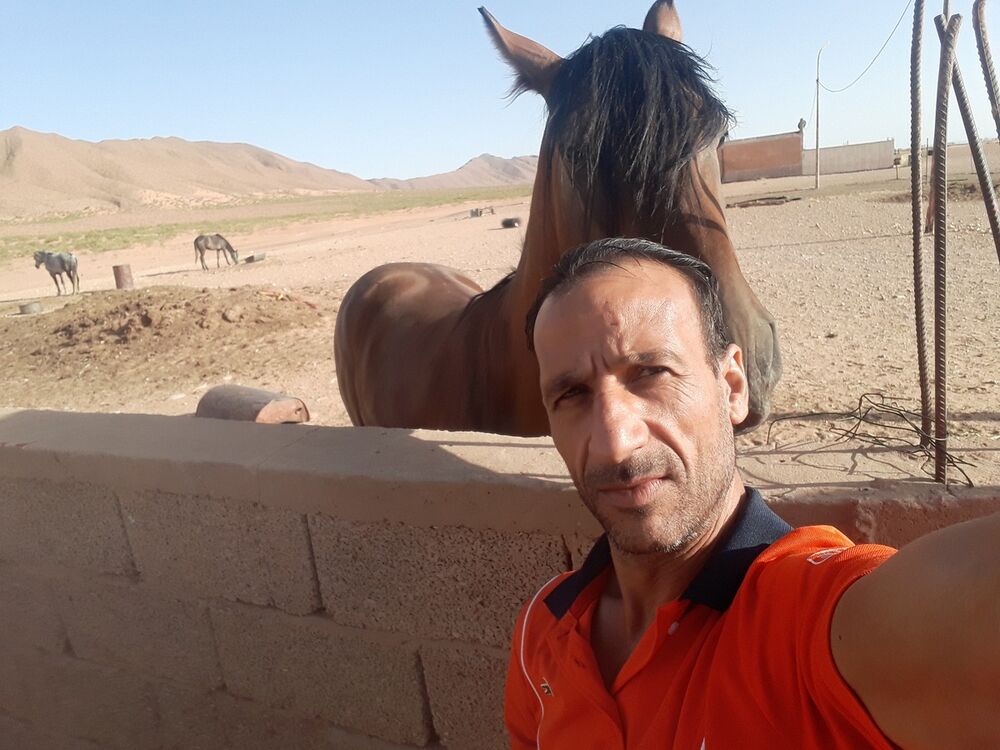  Algiers,   Mallemkamel, 53 ,   ,   , c 