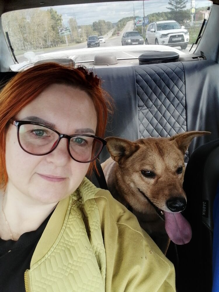 ���������� �������, ���� ������� �������, 48 ���, ������������ ��� ����� � ���������, c�������� ���������