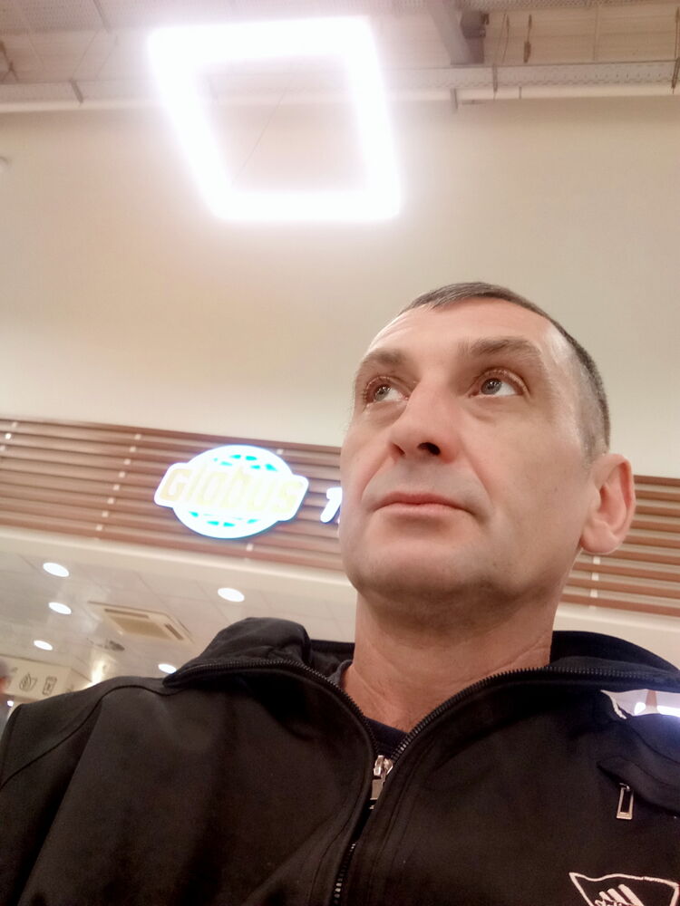  53848675  , 50 ,    