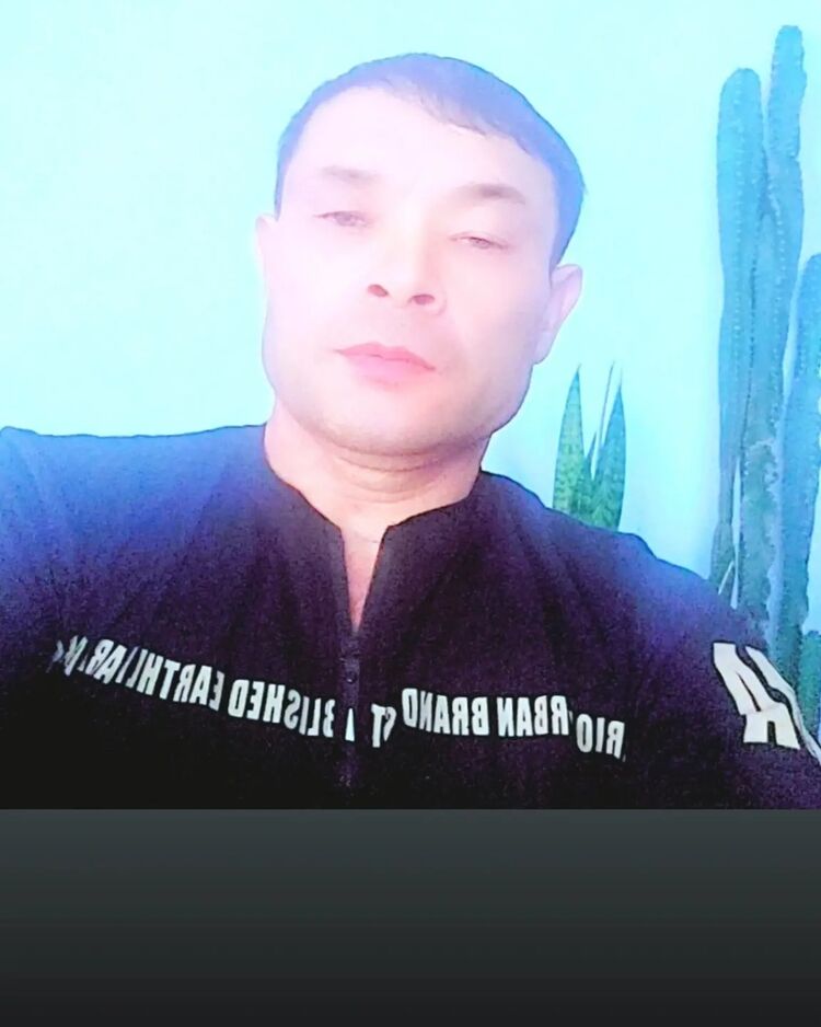  49844195  , 50 ,    
