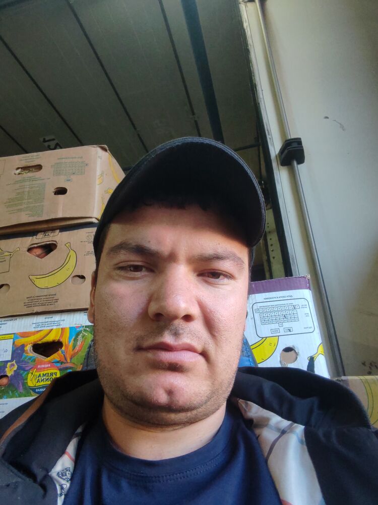  53186555  , 28 ,    