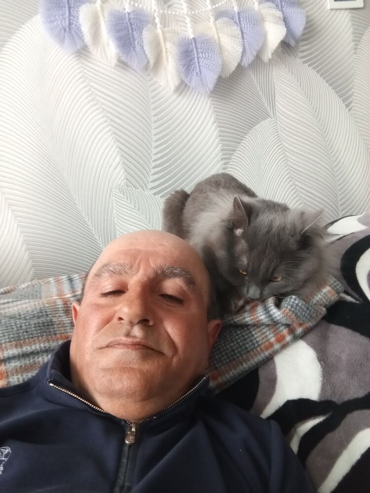  50001065  , 60 ,    -