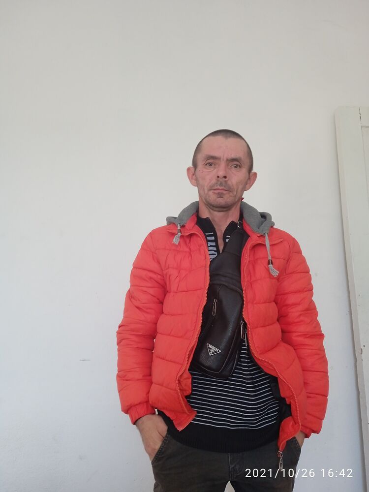 ���� 24541175 ������� �������, 46 ���, ���� ���������� � ������