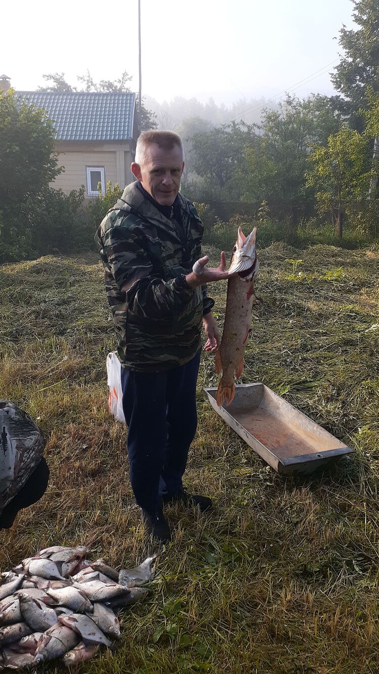  35829885  , 52 ,    