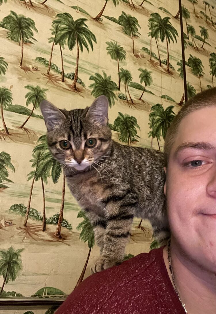 ���� 38462605 ����� ��������, 22 ����, ���� ���������� � ���������