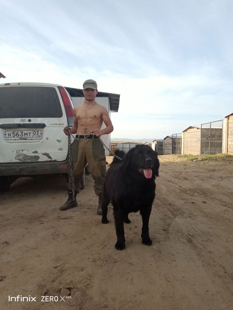  -,   , 22 ,   ,   