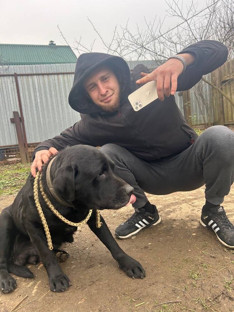 ���� 51056915 ����� ����, 23 ����, ���� ���������� � ����������