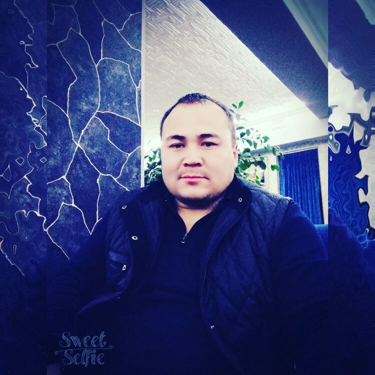  33114625  , 38 ,    