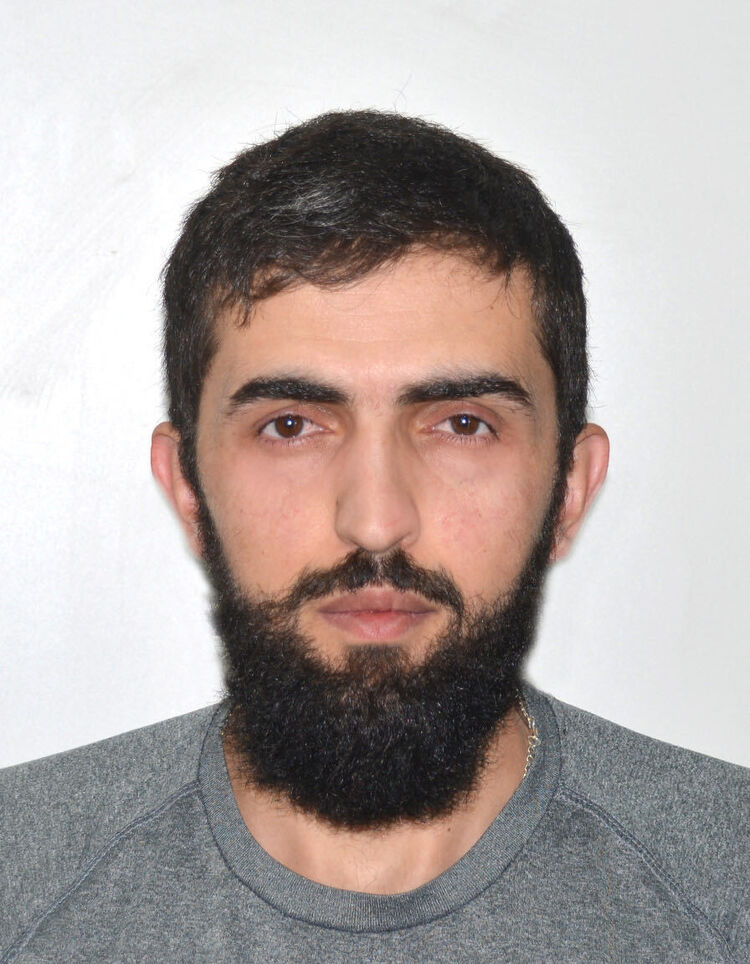 ���� 26411595 ������� DORO, 33 ����, ���� ���������� � ������