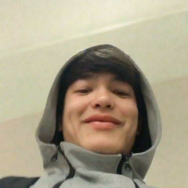  33378505  , 21 ,    