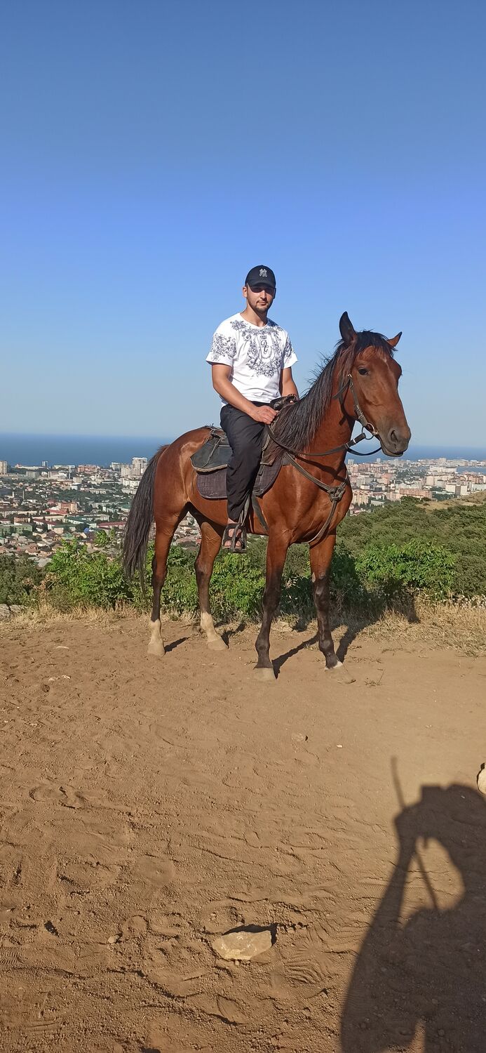 ���� 29973025 ������� Said, 28 ���, ���� ���������� � ���������