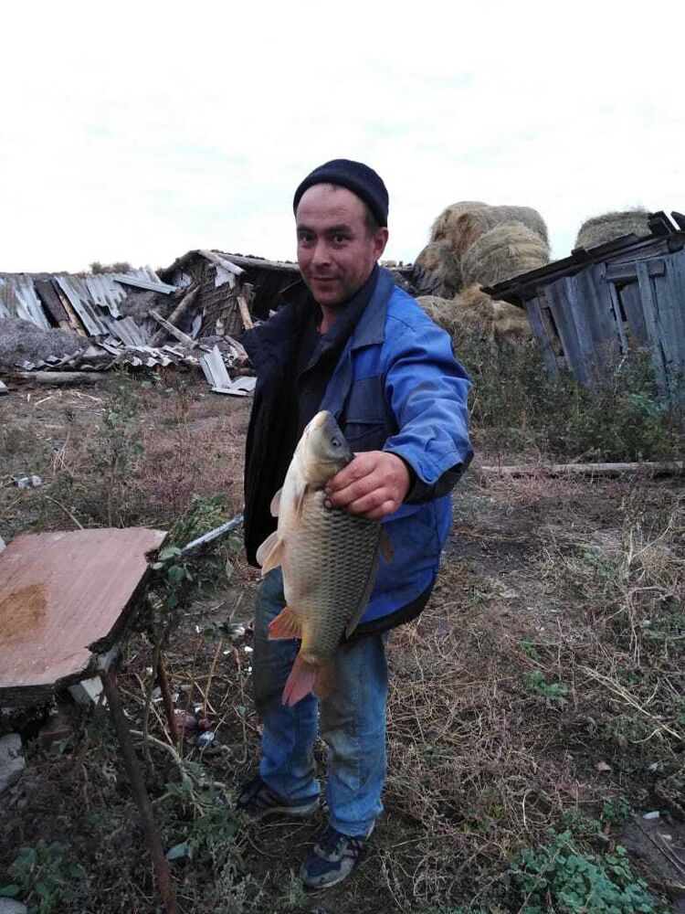 ���������� ���������, ���� ������� ����, 40 ���, ������������ ��� c�������� ���������