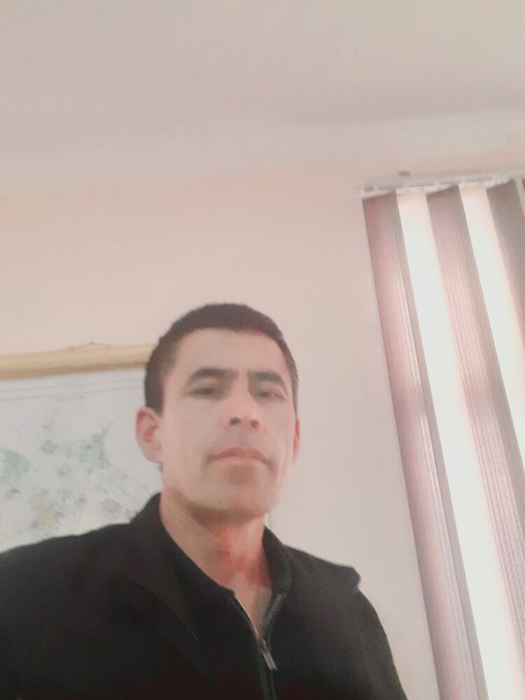 ���� 40668605 ������� ����, 48 ���, ���� ���������� � �����-����������