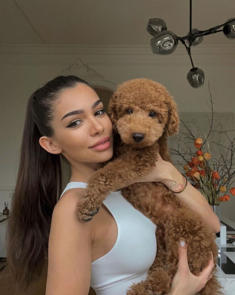  37700495  , 22 ,    -