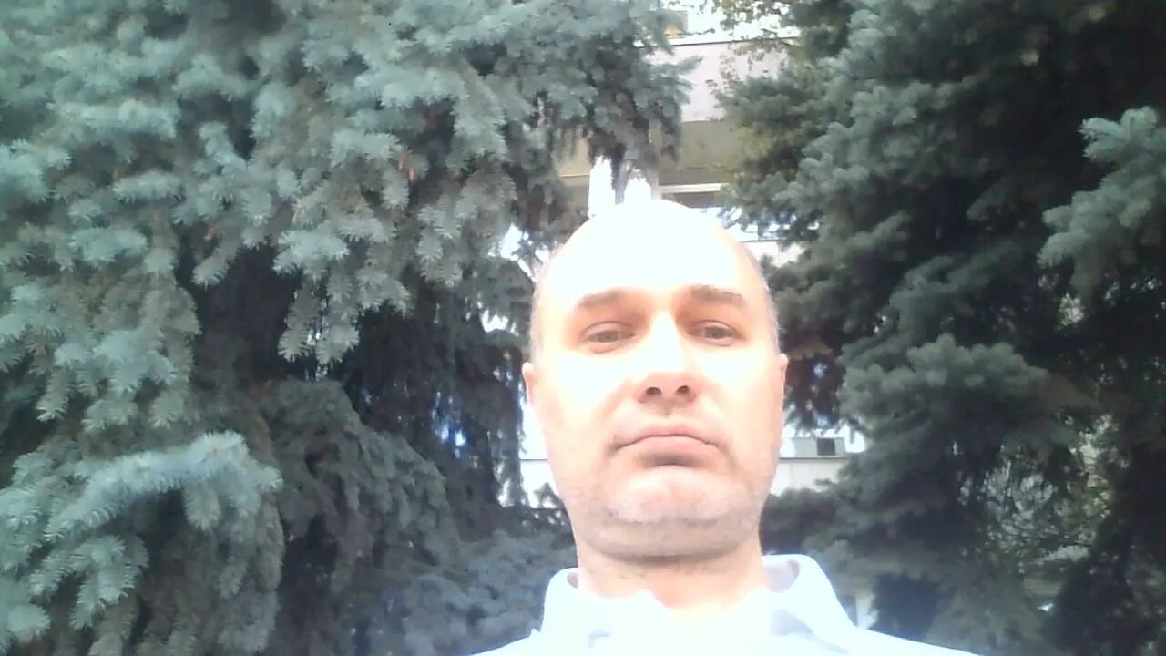  47475825  Pavel, 41 ,    