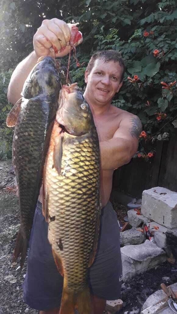 ���������� ���������, ���� ������� ����, 42 ����, ������������ ��� ������, ����� � ���������, c�������� ���������