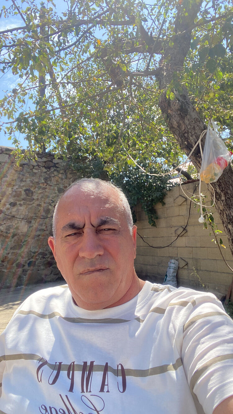 ���� 55033475 ������� ������, 43 ����, ���� ���������� � ����