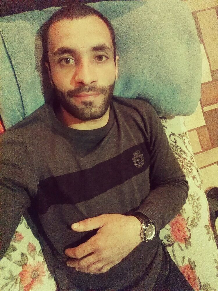  41344335  , 33 ,    
