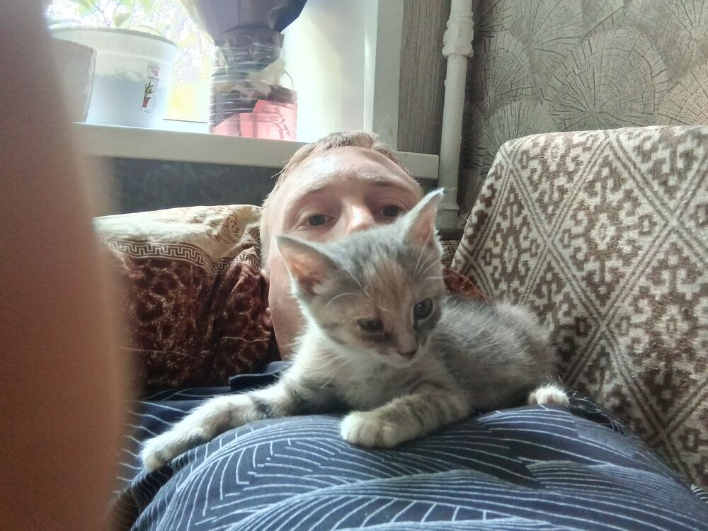  37007335  , 33 ,    -