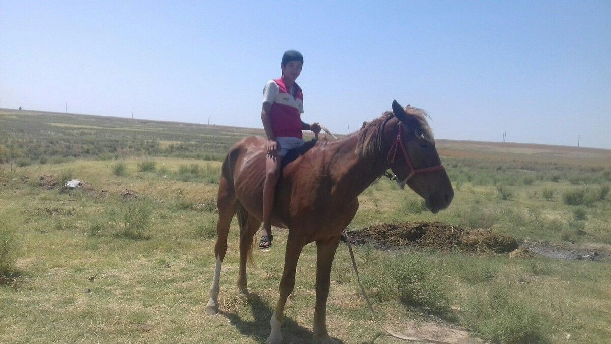 ���� 10110705 ������� ������, 28 ���, ���� ���������� � ��������