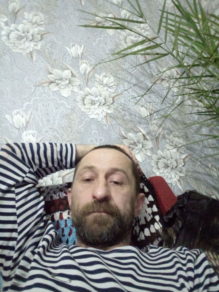  24496435  , 51 ,    