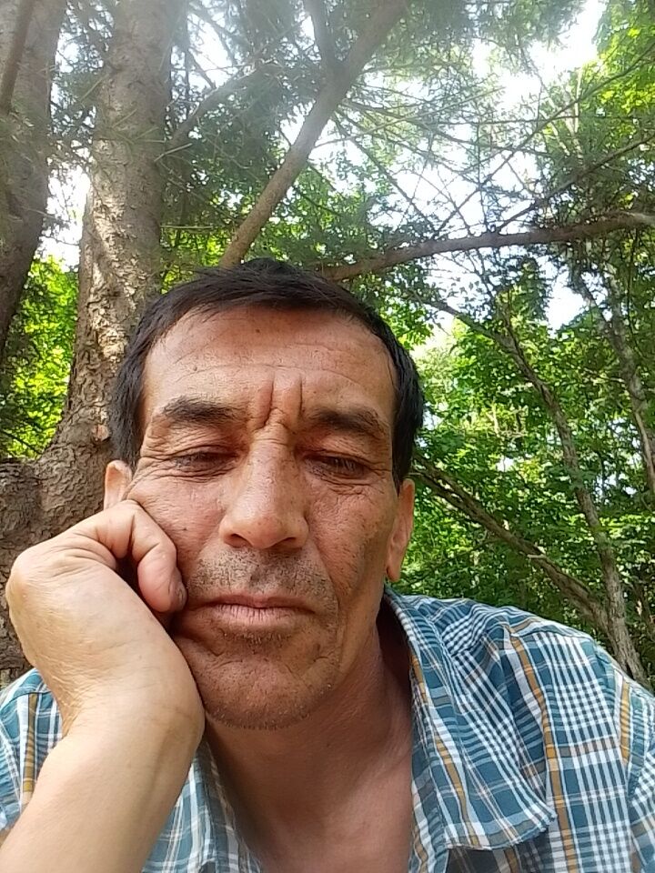  44570165  , 55 ,    