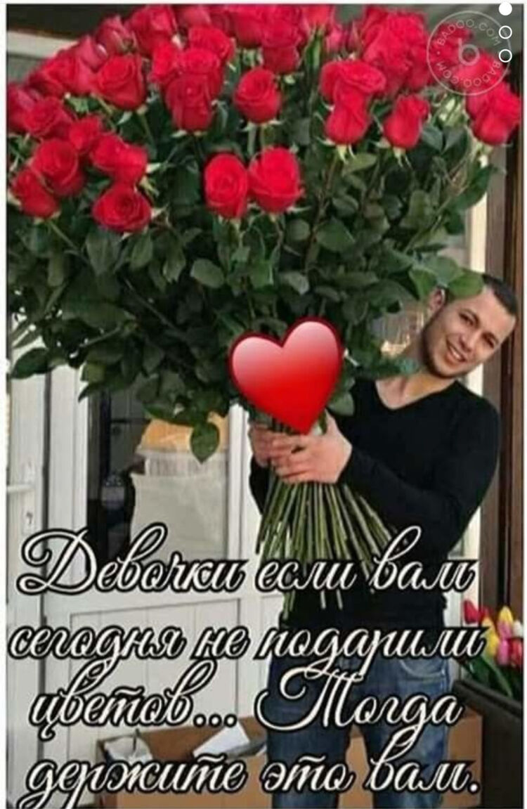  15453305  , 37 ,    