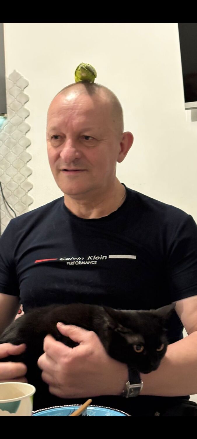 ���������� ���������, ���� ������� ����, 62 ����, ������������ ��� ����� � ���������