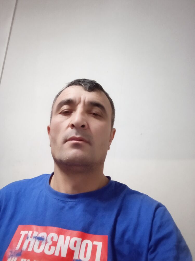  50677955  , 42 ,    