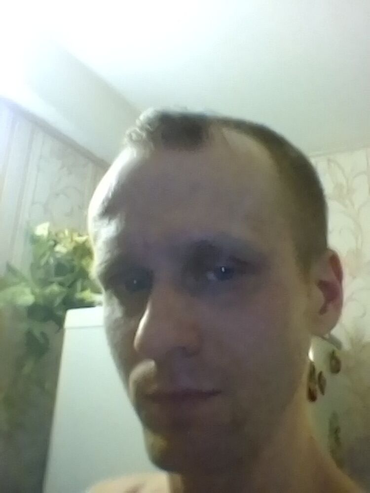  11981585  , 37 ,    