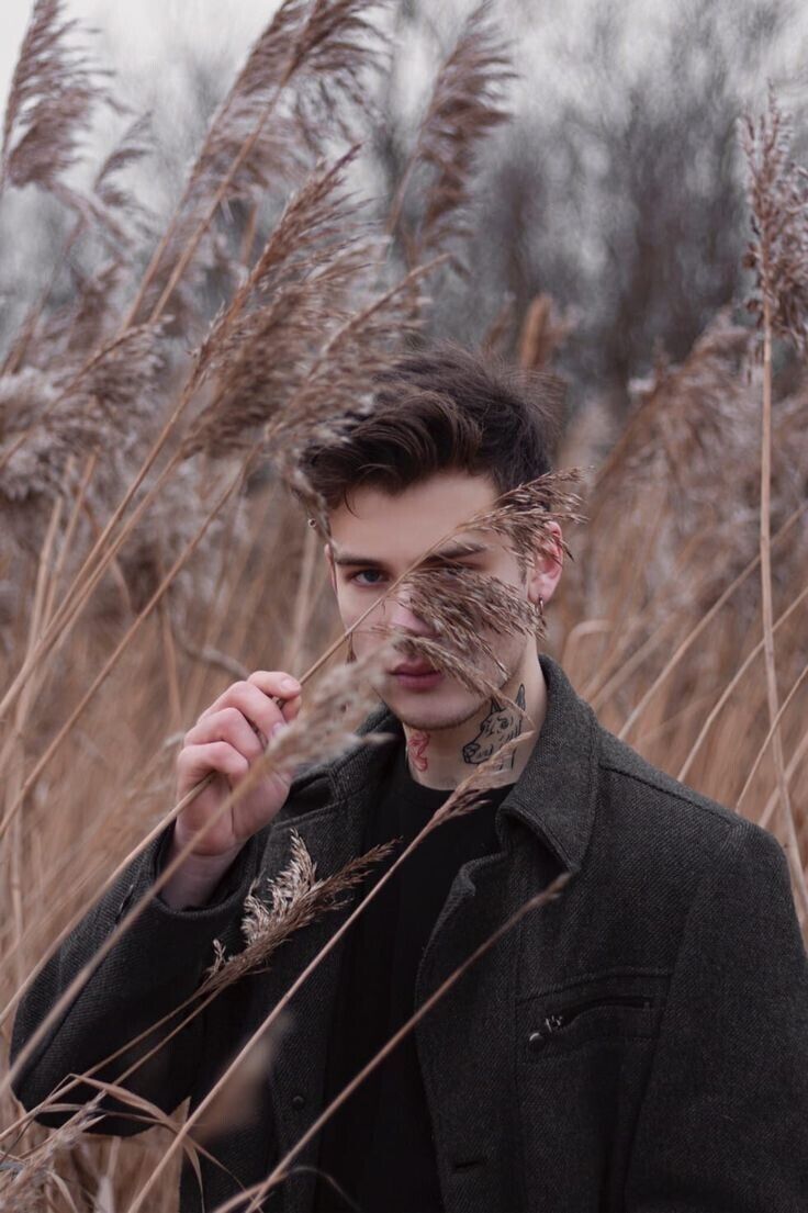 ���� 33531045 ������� �������, 30 ���, ���� ���������� � ������ ���������