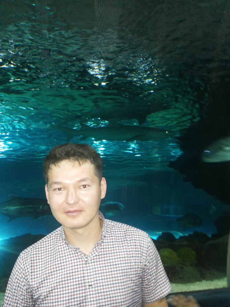 ���� 25427285 ������� ������, 34 ����, ���� ���������� � ������