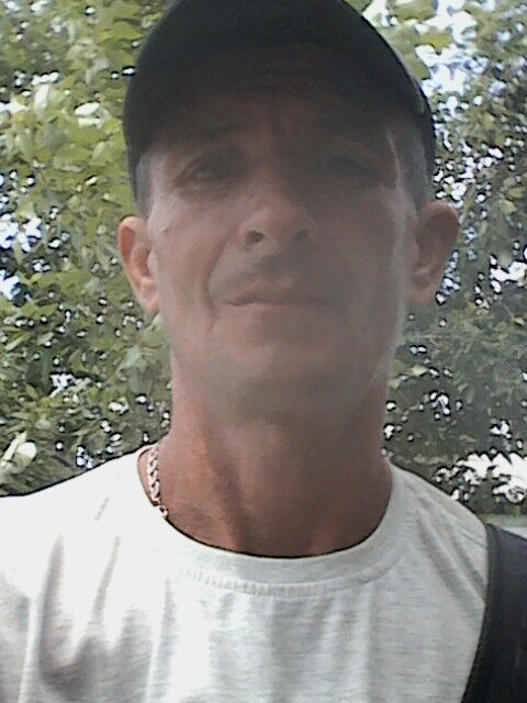  8520845  , 53 ,    