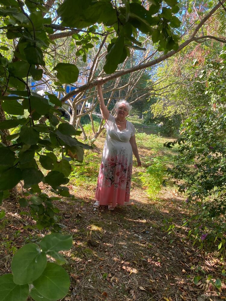 ���������� ���������, ���� ������� ��������, 70 ���, ������������ ��� c�������� ���������