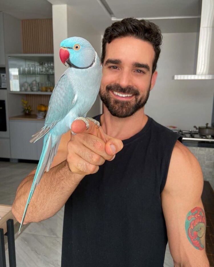 ���� 55417445 ������� ������, 33 ����, ���� ���������� � ����������