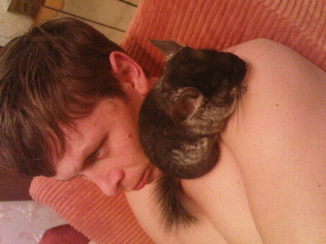 ���� 15852715 ������� ����, 29 ���, ���� ���������� � �����