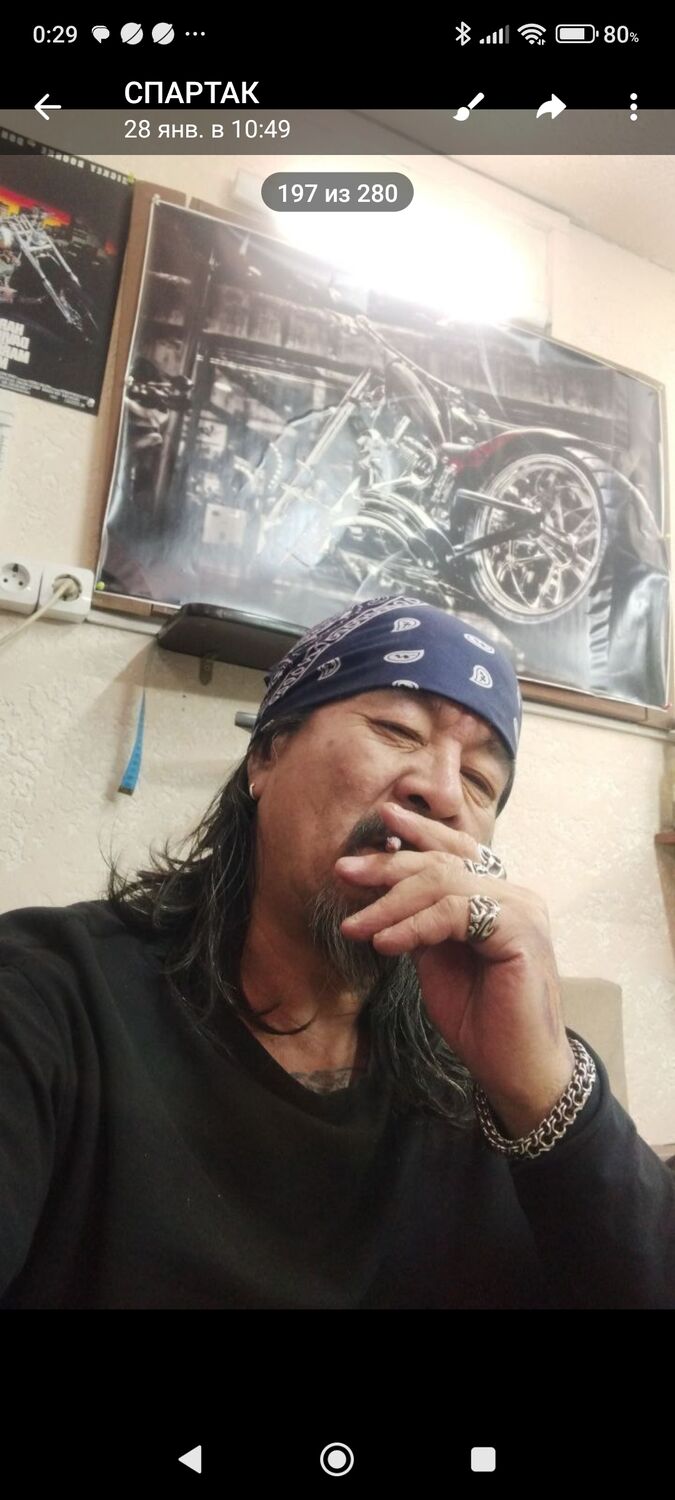 ���� 55701495 ������� �������, 54 ����, ���� ���������� � ������������