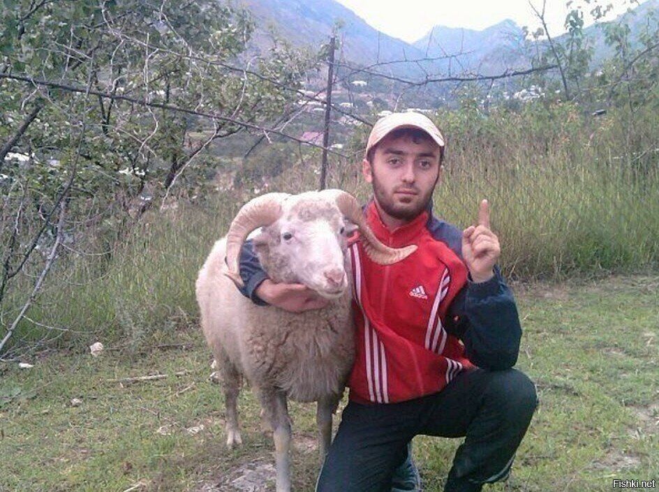 ���������� ������, ���� ������� ���������, 38 ���, ������������ ��� ������, ����� � ���������