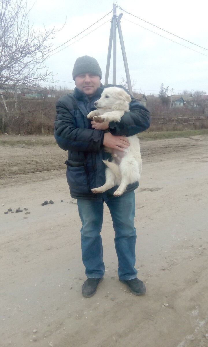 ���� 11422965 ������� �������, 44 ����, ���� ���������� � ��������