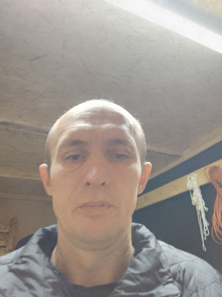  48203195  , 43 ,    