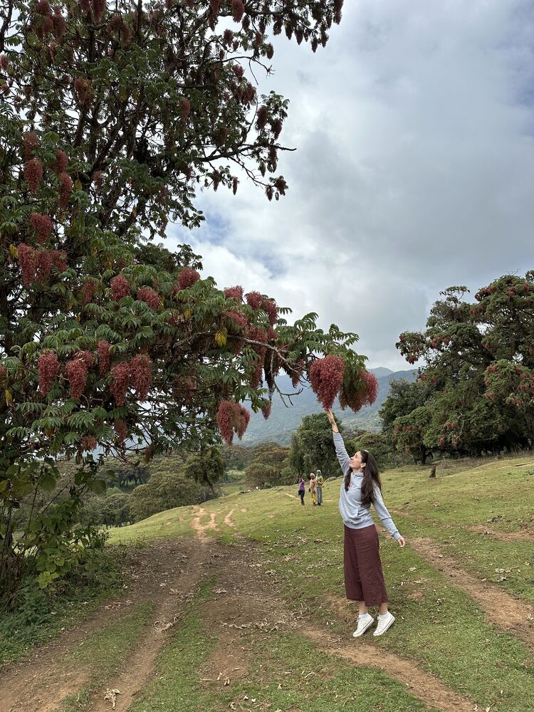 ���������� ������, ���� ������� �����, 38 ���, ������������ ��� ������, ����� � ���������, ���������