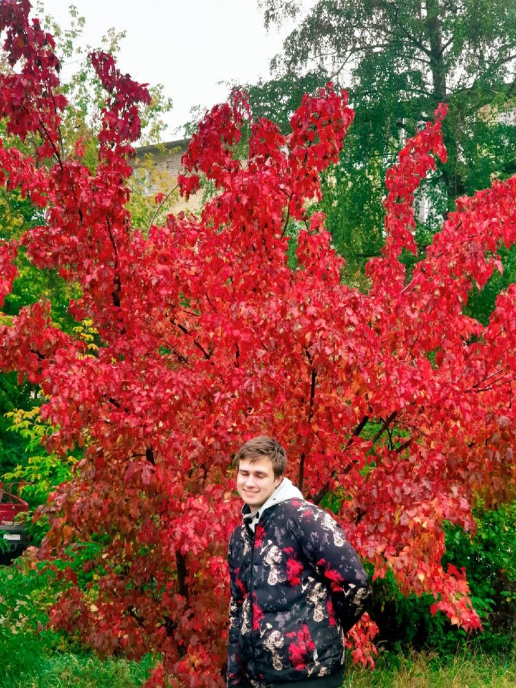 ���� 29870625 ����� Andrey, 25 ���, ���� ���������� � �����