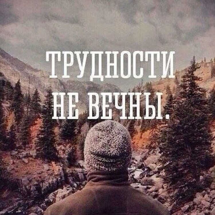  49786705  , 50 ,    -
