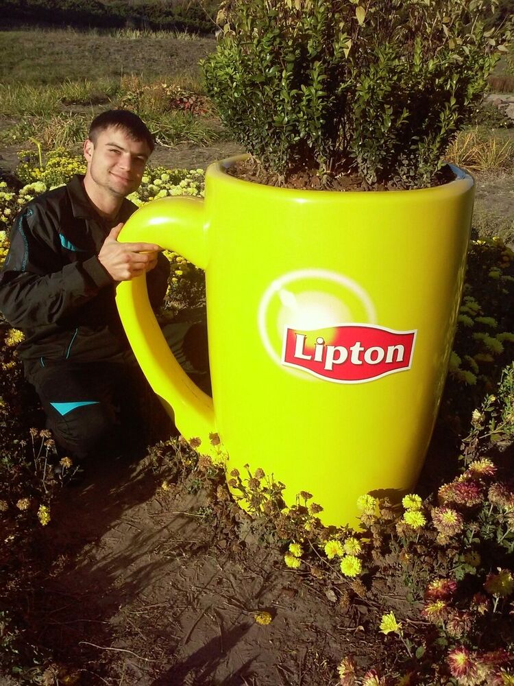 ���� 8945905 ������� ������, 43 ����, ���� ���������� � �����